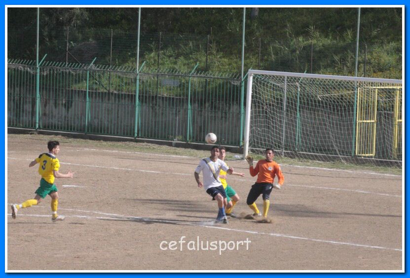 130406 delfini 043_tn.jpg